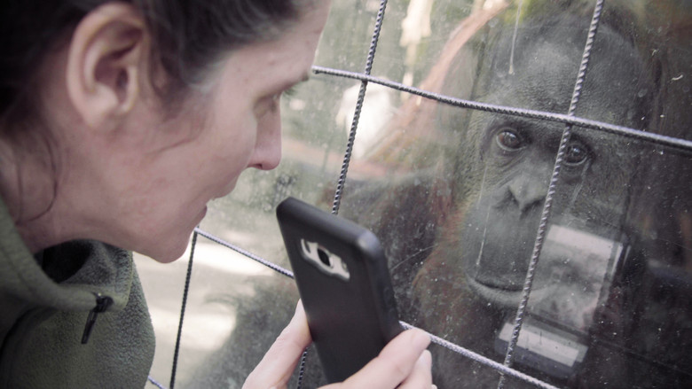 кадр из фильма Zoofobia