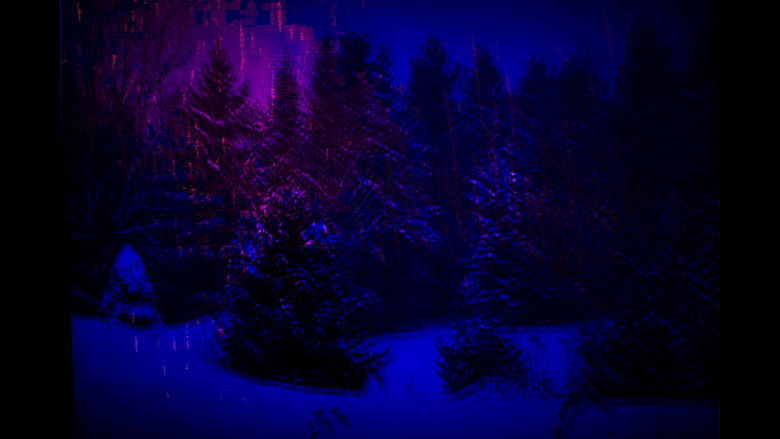 кадр из фильма Cottage Movie