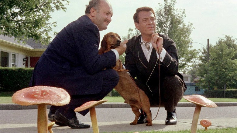 кадр из фильма Amanita Pestilens