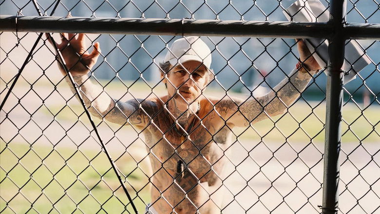 кадр из фильма At Night I Fly