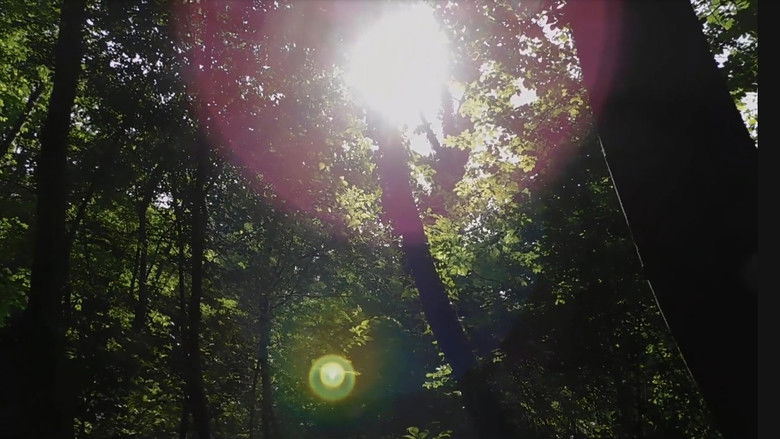 кадр из фильма L'Orto di Giuseppe