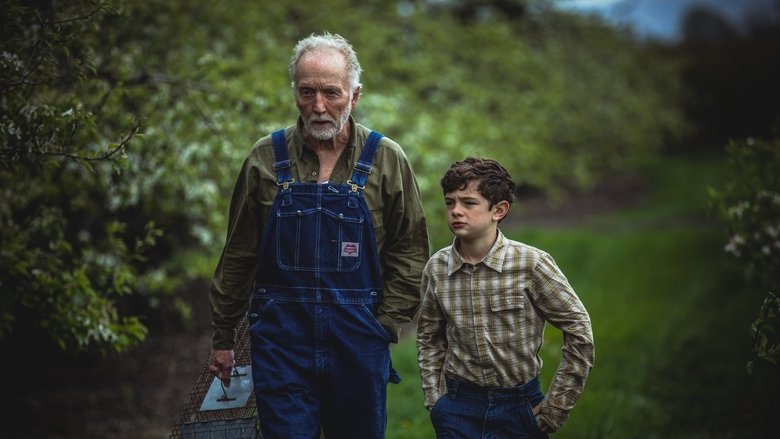 кадр из фильма My Pretty Pony