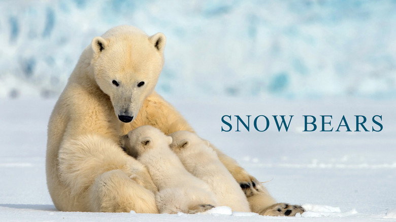 кадр из фильма Snow Bears