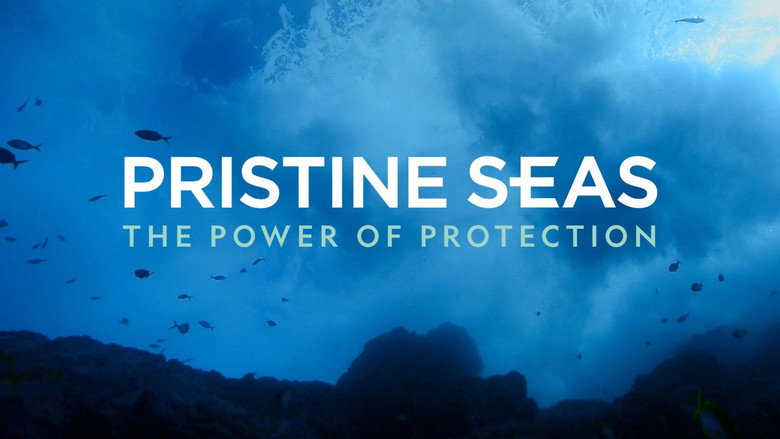 кадр из фильма Pristine Seas: The Power of Protection