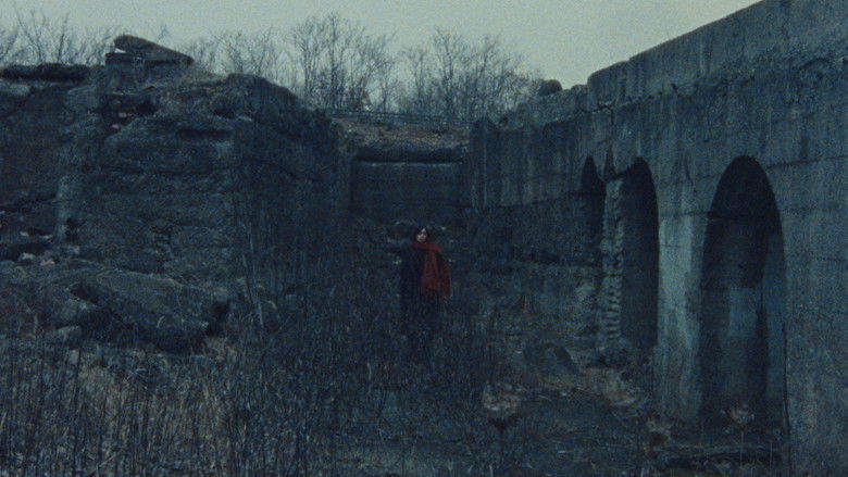 кадр из фильма Naming Shadows