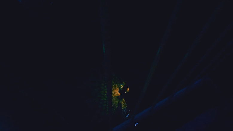 кадр из фильма shadows scare me