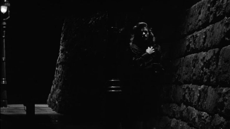 кадр из фильма Люди-кошки