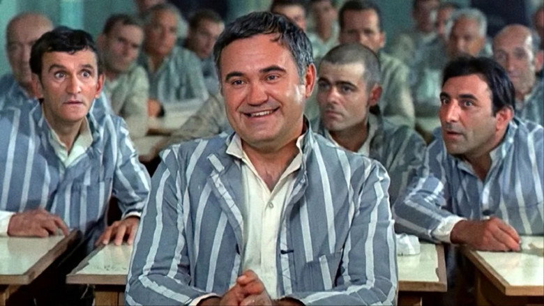 Запутанные следы