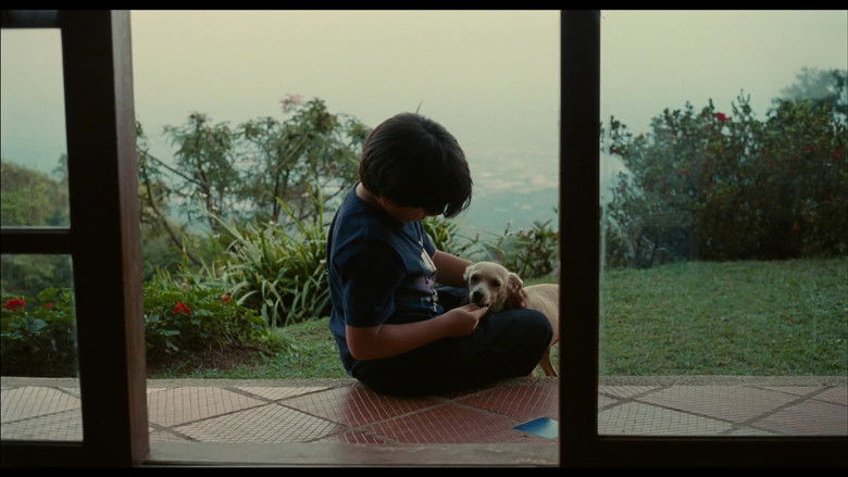 кадр из фильма Borrasca