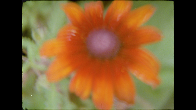 кадр из фильма Ahora y en la hora de nuestra muerte