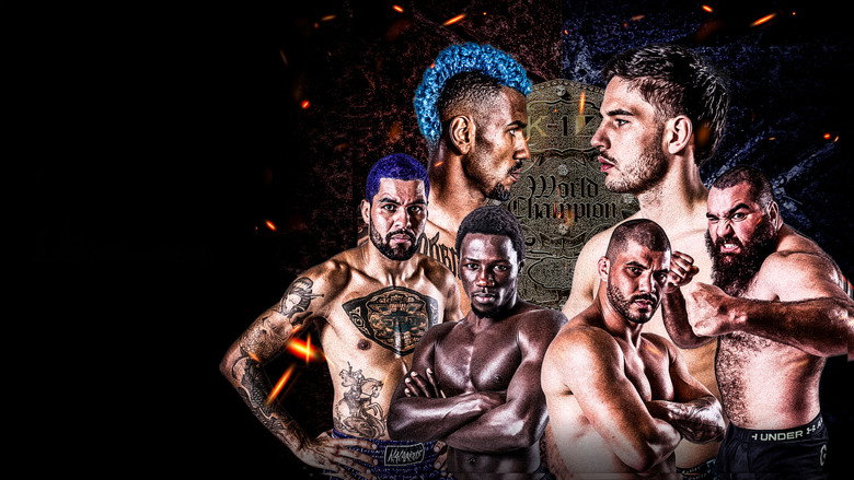 кадр из фильма K-1 GENKI