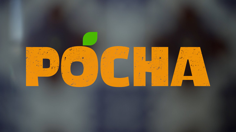 кадр из фильма Pocha