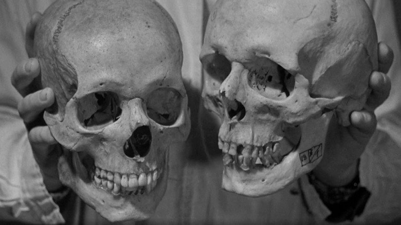 кадр из фильма Обыкновенный фашизм