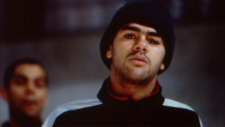 кадр из фильма Zonzon