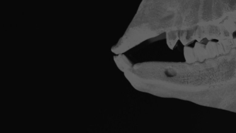 кадр из фильма Ghost Buddies: The Gathering