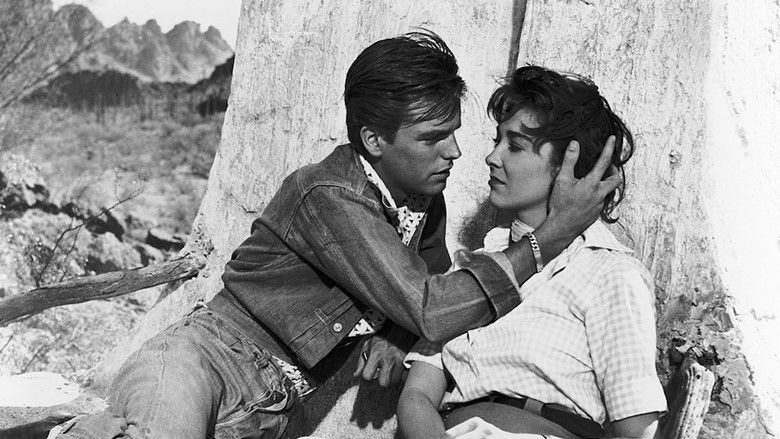 кадр из фильма Поцелуй перед смертью