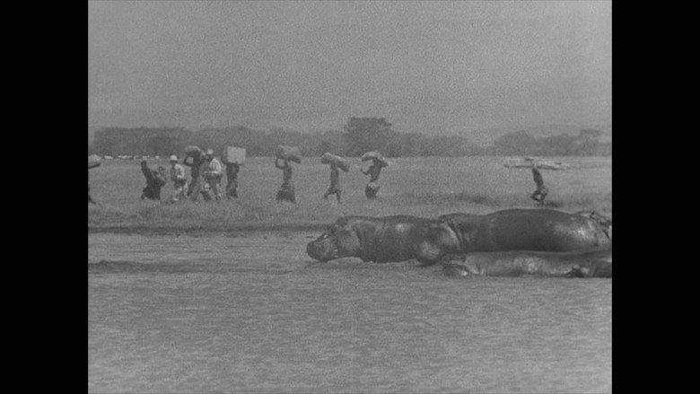 кадр из фильма Stanley and Livingstone