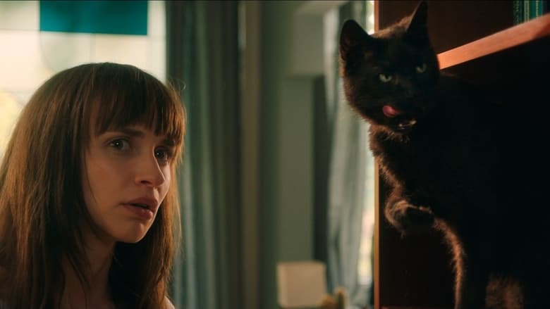 кадр из фильма Я — кот