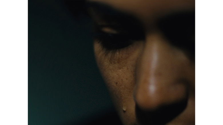 кадр из фильма E M D R