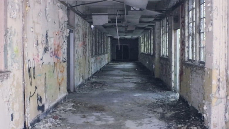 кадр из фильма The Widow in White