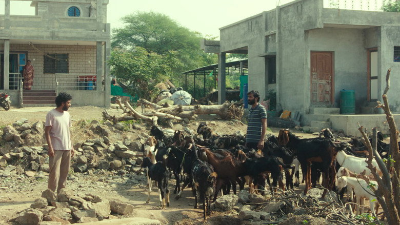 кадр из фильма साबर बोंडं