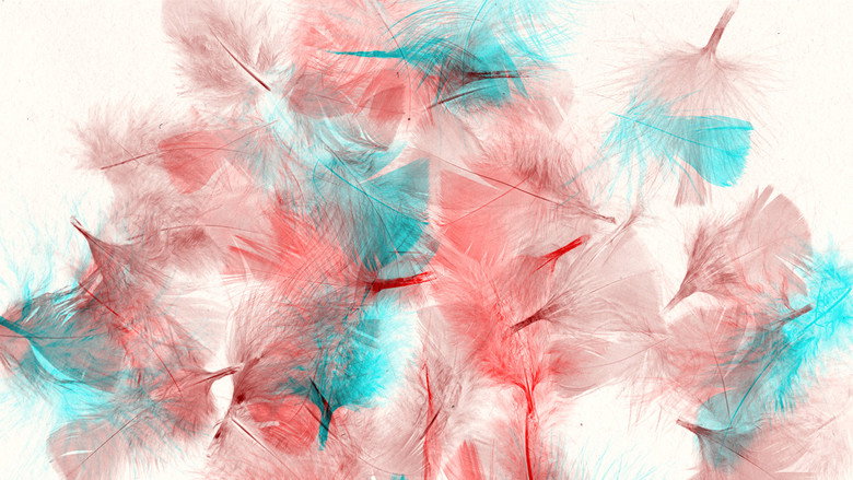 кадр из фильма Les oiseaux