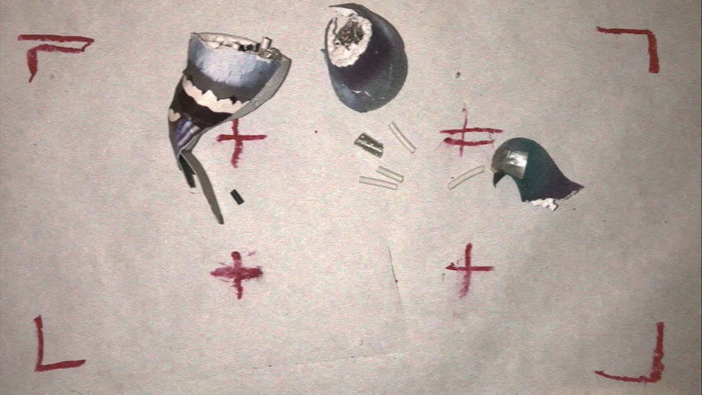 кадр из фильма BIRDS ARE DRONES AND THEY CHARGE ON POWERLINES