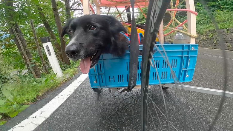 кадр из фильма Alpine Trilogy