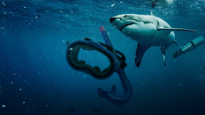 кадр из фильма Спасённые от акул