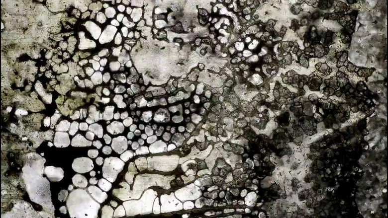 кадр из фильма Rumpelstilzchen