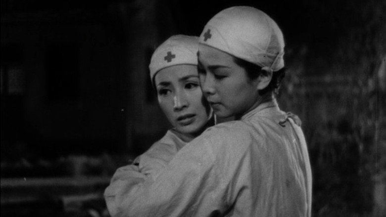 野戦看護婦