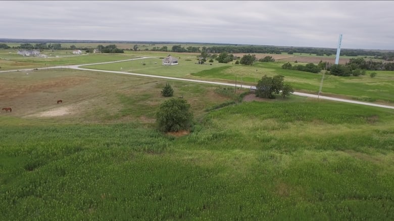 кадр из фильма Robert & Billie