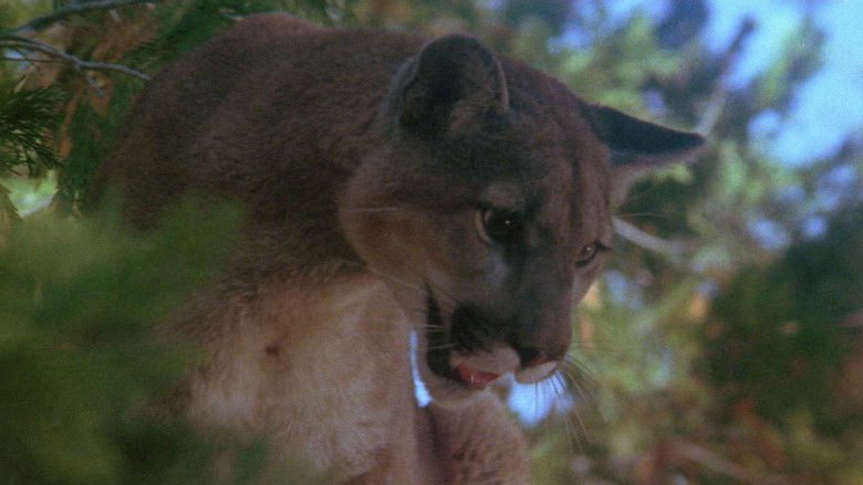 кадр из фильма День животных