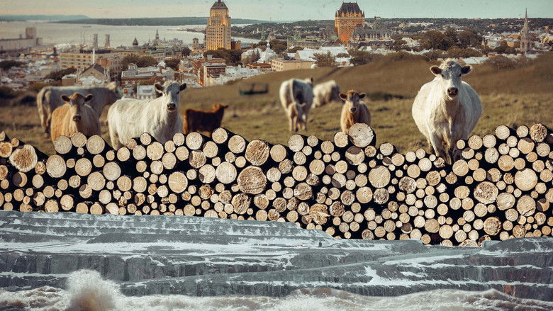 кадр из фильма Pour nous chez nous