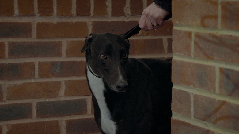 кадр из фильма Going to the Dogs