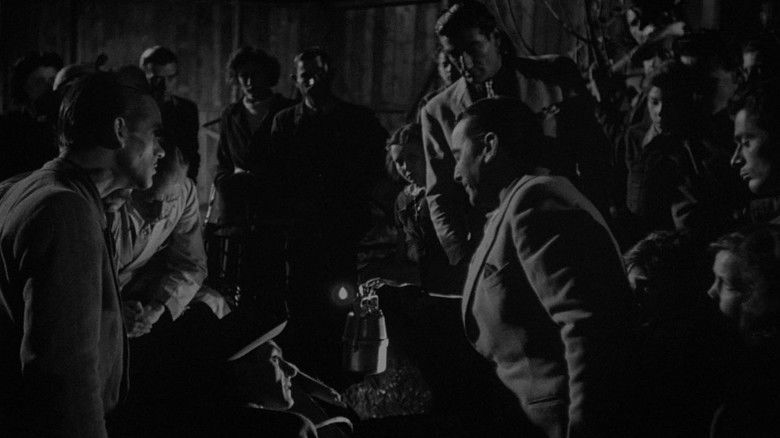 кадр из фильма Паника