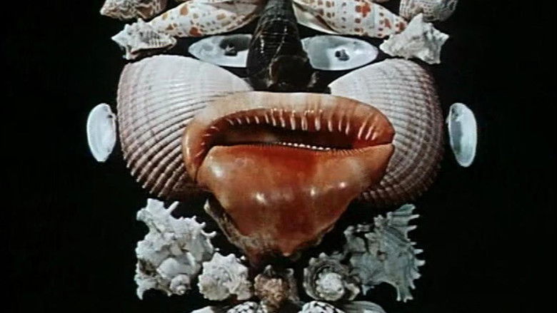 Естественная история