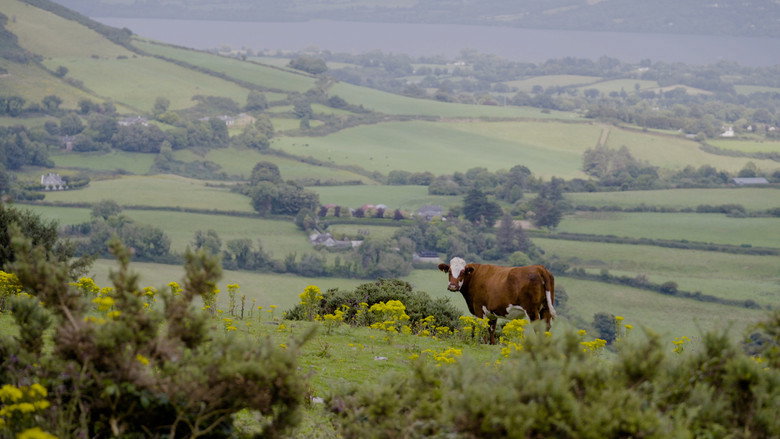 кадр из фильма The Hidden Heart of Ireland - The South