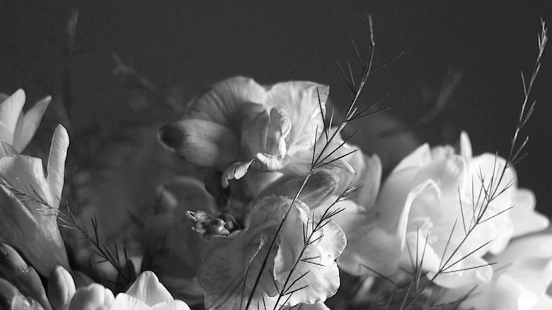 кадр из фильма LUCY