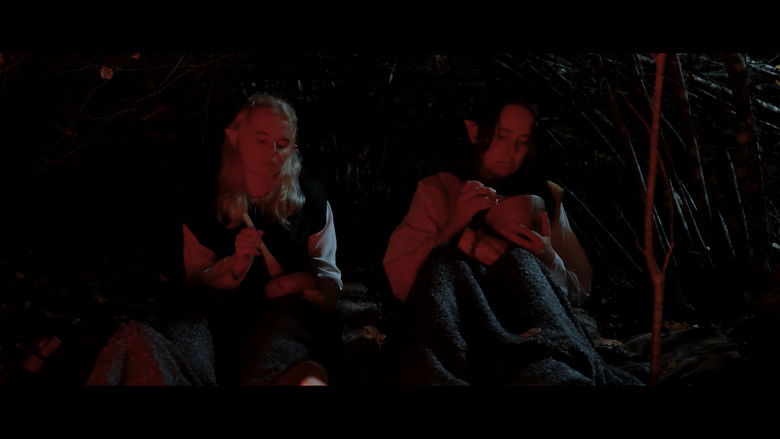 кадр из фильма Aerindor: The silent sacrifice