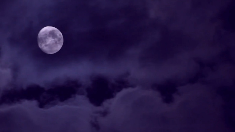 кадр из фильма Road Trash