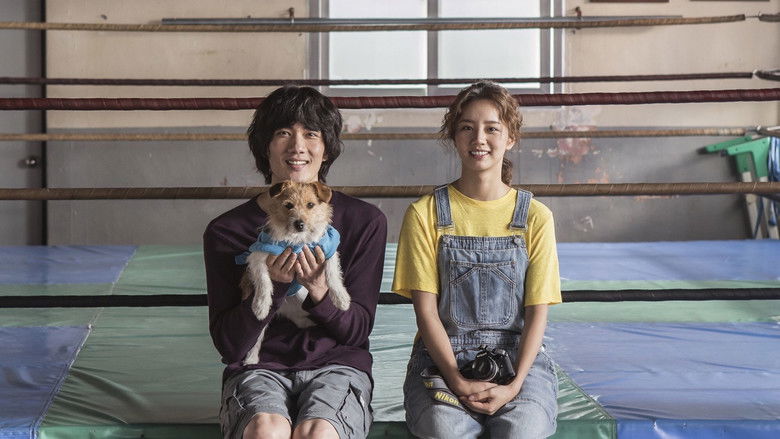 кадр из фильма Отбитый боксёр