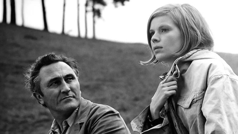 кадр из фильма Die Taube auf dem Dach