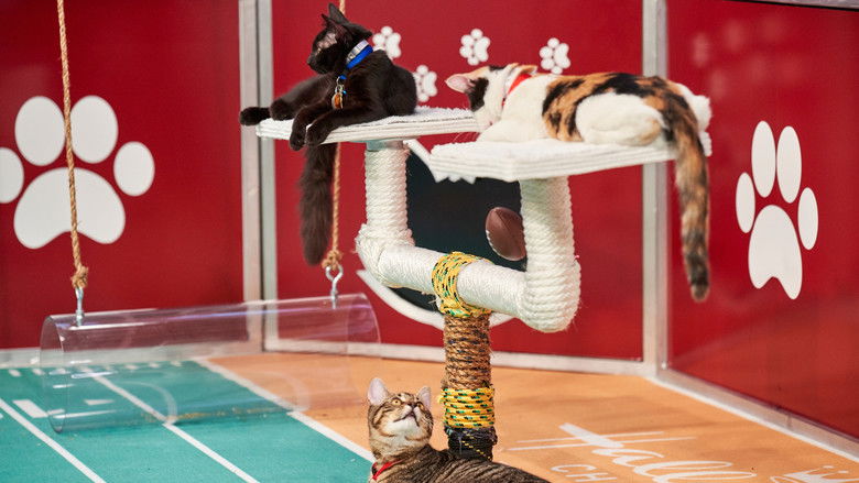 кадр из фильма Hallmark Channel's 1st Annual Cat Bowl