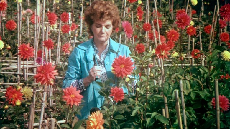 кадр из фильма Visita ou Memórias e Confissões