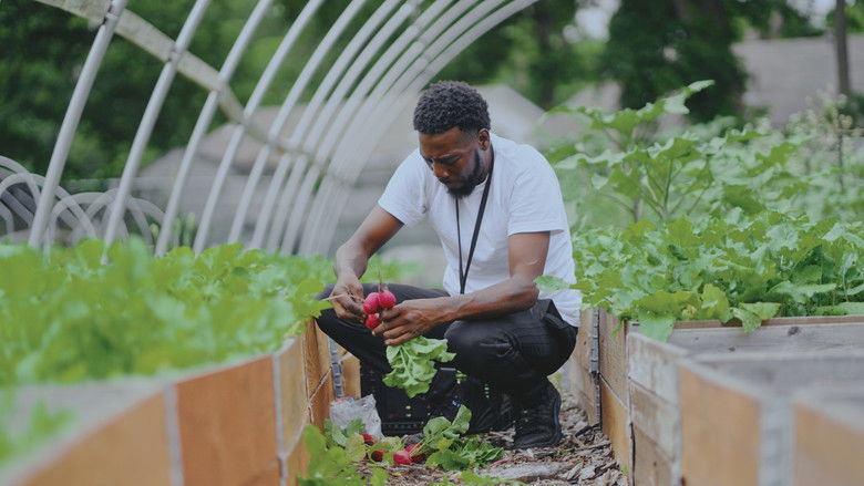 кадр из фильма Grow a Better Dallas