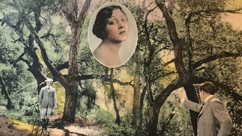 кадр из фильма St. Elmo