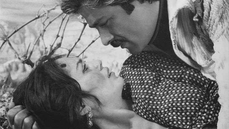 кадр из фильма Dila Hanım