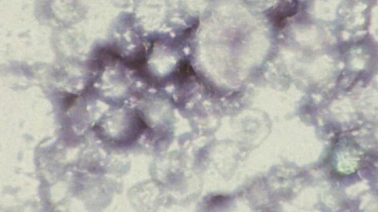 кадр из фильма Kosmos