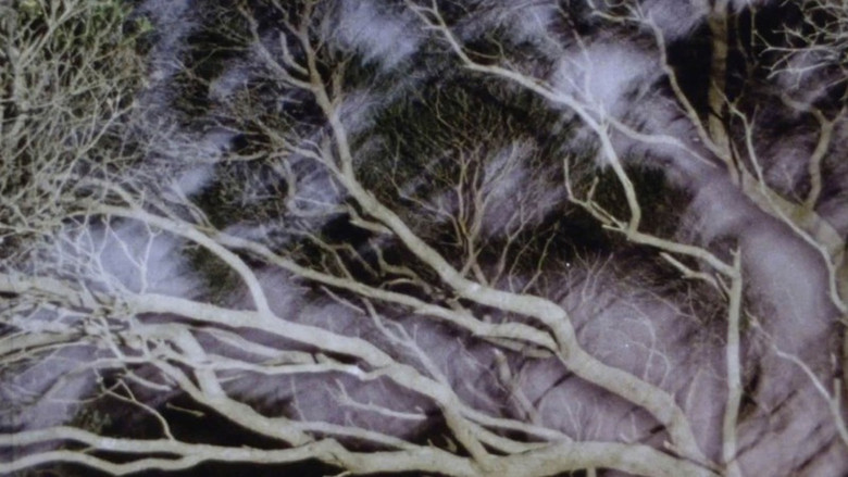 кадр из фильма The Land at Night